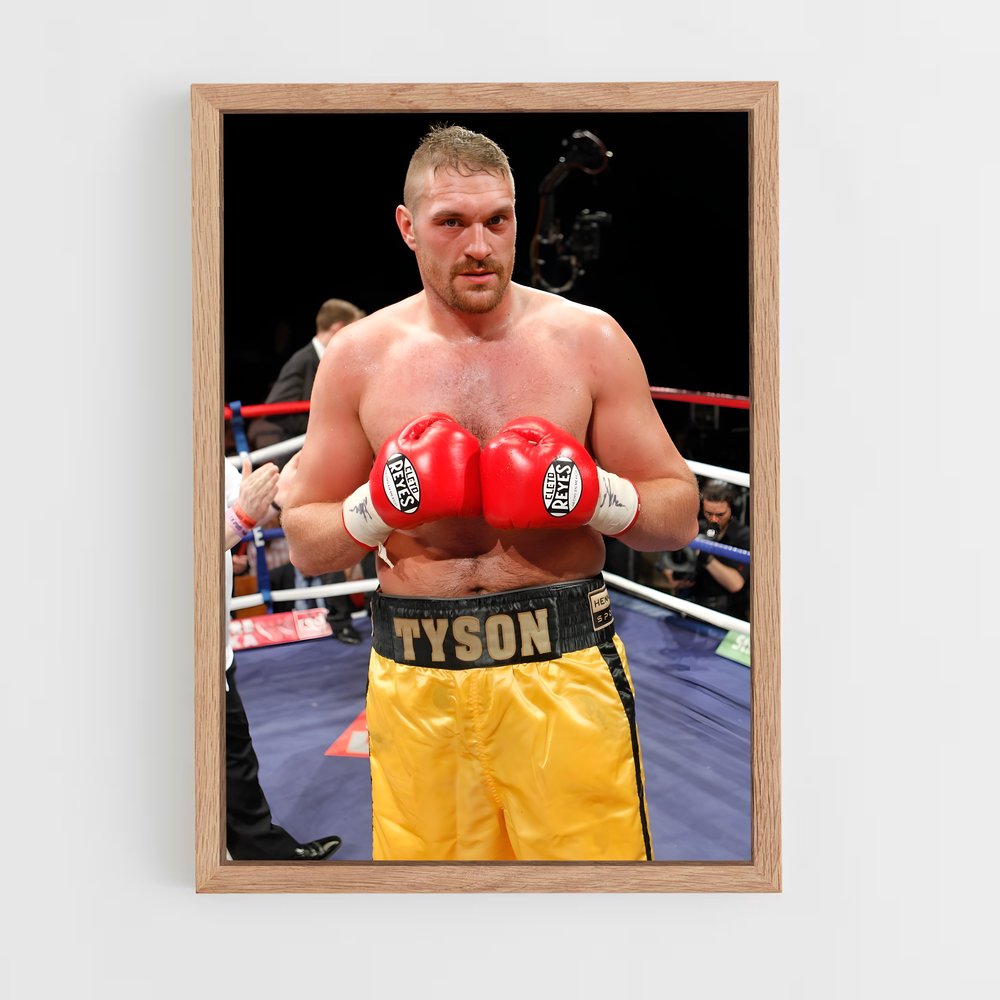 Poster Tyson de fury (vue 4)